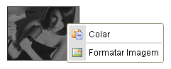 Formatar